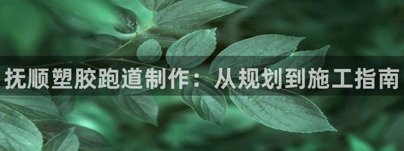 谈球吧的聊天软件有哪些:抚顺塑胶跑道制作:从规划到施工指南