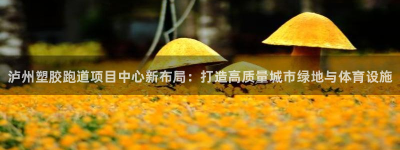 谈球吧官网在线入口手机版:泸州塑胶跑道项目中心新布局:打造高